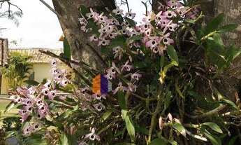 Imagem 4: Chácara residencial à venda, Estância da Colina, Salto