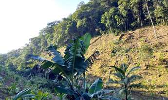 Imagem 4: Sítio 6 alqueires ( Willian Ricardo