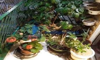 Imagem 6: Belo Apartamento