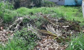 Imagem 5: Lote/Terreno para venda possui 480 metros quadrados em Guaratiba (Ponta Negra) - Maricá