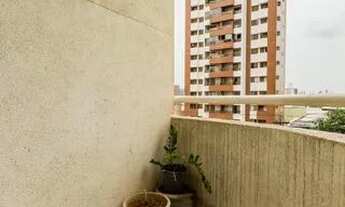 Imagem 6: Apartamento para Aluguel - Cambuí, 1 Quarto, 50 m2