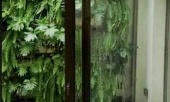 Imagem 6: Sobrado Ipiranga próximo ao museu