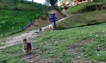 Imagem 6: Lindo sítio em Anitápolis, na serra catarinense