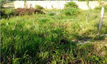 Imagem: Vendo terreno 1.500,00 metros quadrados