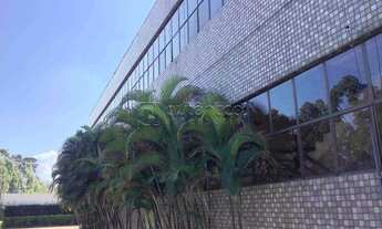 Imagem 7: Galpão 6mil m - Locação - Barueri Alphaville