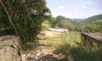 Imagem 4: Brodoski - Chácaras de 1000m² - R$160.000,00