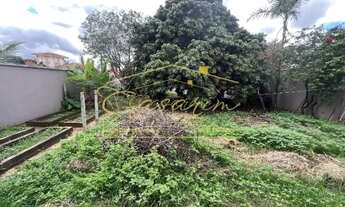 Imagem: Terreno murado no bairro Santa Cecilia