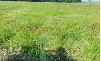 Imagem 7: Fazenda à venda, 12000000 m² por R$ 42.000.000 - Zona Rural - Alta Floresta/MT