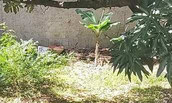 Imagem 7: Uma excelente casa ,com um terreno grande