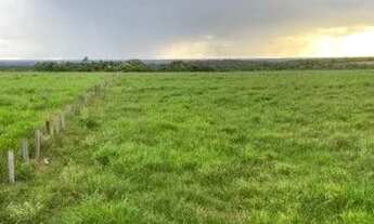 Imagem 4: Fazenda à venda, 12000000 m² por R$ 42.000.000 - Zona Rural - Alta Floresta/MT