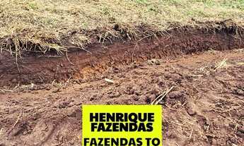 Imagem 4: Fazenda dupla aptidão região de Rio Sono Tocantins