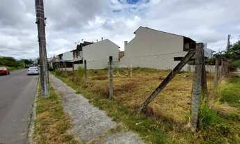 Imagem 7: Terreno em Hípica