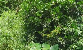 Imagem 5: Casa no centro Casa com 3 dormitórios