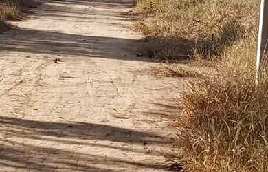 Imagem 4: Lote Planaltina DF Arapoangas