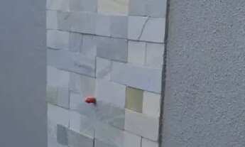 Imagem 7: Casa para venda no Setor Boa Esperança em Aparecida de Goiânia