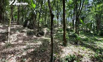 Imagem 5: Terreno a venda Rota da Ferradura - Guarapari