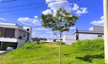 Imagem: Terreno com leve aclive, localizado no ponto