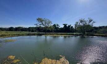 Imagem 2: Fazenda a venda - Pontalina - GO