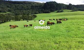 Imagem 5: ÁREA RURAL 580HA EM SANTANA DA BOA VISTA