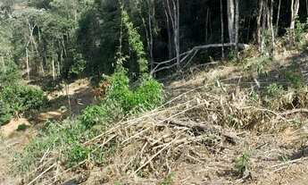 Imagem 5: Vendo linda chácara ==valor 60 mil