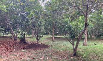 Imagem 2: Vendo Belíssimo Terreno