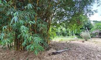 Imagem 5: Imóvel para venda com 1000 metros quadrados em Tarumã - Manaus - AM