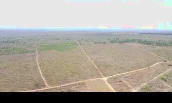 Imagem 6: Oportunidade! Vende-se uma excelente fazenda de 2000 hectares