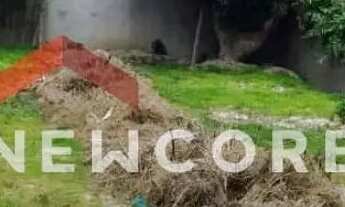 Imagem: Lote em Rua Jair Nóbrega - Terra Firme