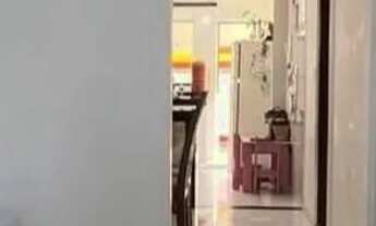 Imagem 7: Gt;Vendo no SATÉLITE (Rod. Mário Covas