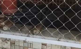 Imagem 2: Apartamento em Canasvieiras