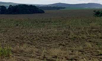Imagem: Fazenda a venda em Ipameri - Goiás!!!