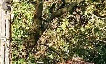 Imagem 6: Terreno com 2342 ² em Itaquera à venda