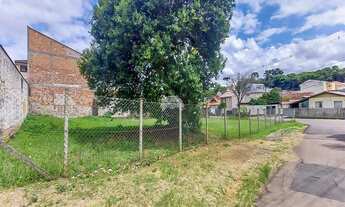 Imagem 3: Vendas Terreno Curitiba PR