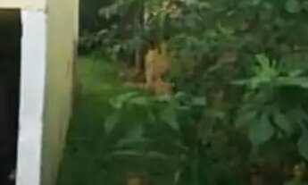 Imagem 3: Oportunidade na Hípica