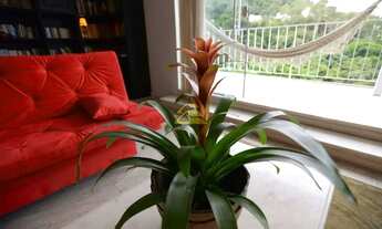 Imagem 4: Cosme Velho Casa com 5 dormitórios