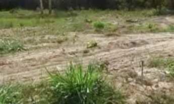 Imagem 5: Terreno em condomínio fechado