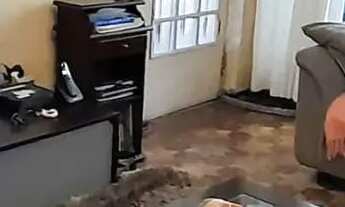 Imagem: Sobrado para venda com 125m², 2 vagas e