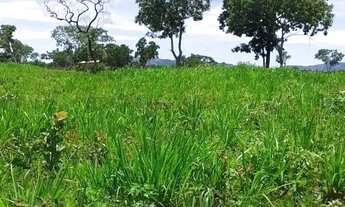 Imagem 6: Chácara 13 hectares Coxipo do Ouro