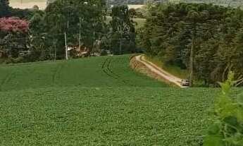 Imagem: Excelente área para formar chácaras com