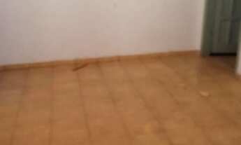 Imagem 3: Alugo edicula pra mulher sozinha