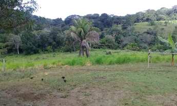 Imagem 5: Fazenda de 26 hectares de cacau e pastagens em Una sul da Bahia