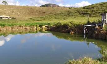 Imagem 5: Terra em Barra de São Francisco com 4500 pés de Café