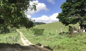 Imagem 5: Fazenda em Dario Meira