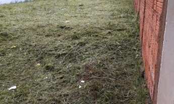 Imagem 2: Vende-se Terreno Em Brotas