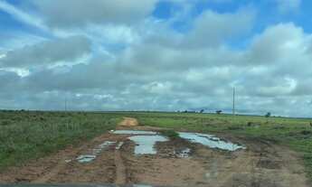 Imagem 4: Fazenda 140 alqueires em Paraúna - GO