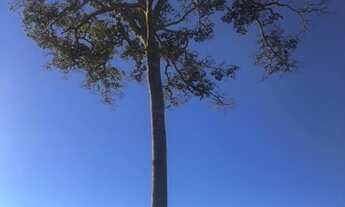 Imagem 1: Terreno muito bem localizado na Villa Jatobá