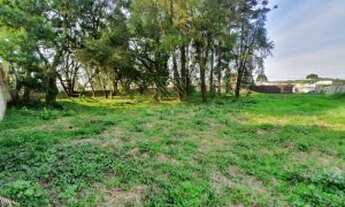 Imagem: Terreno Amplo Ótimo Para Condomínio De