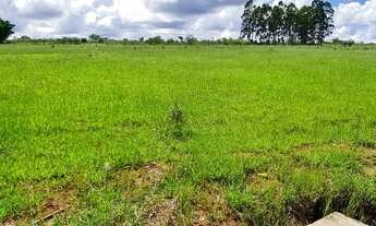 Imagem 2: Beira do asfalto rodeador chácara 100%plana 20.000m2 com casa falta acabamento