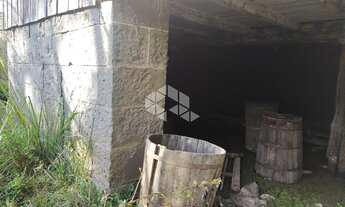 Imagem 5: BENTO GONçALVES - Chácara - Vale Dos Vinhedos