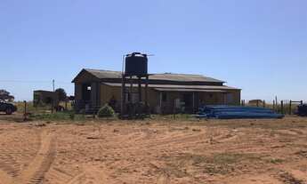 Imagem 7: Fazenda Primavera do leste